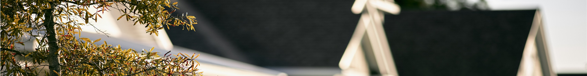 Estate Agency and Solicitors in the west end of Glasgow